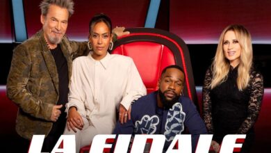 ¿Quiénes son los 4 finalistas de la decimoquinta temporada de TF1? ¿Quiénes son los 4 finalistas de la decimoquinta temporada de TF1?